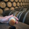 Cave com barricas de carvalho francês e uma mão a abrir uma delas para deixar deixar sair os aromas inebriantes dos vinhos do Tejo, Portugal