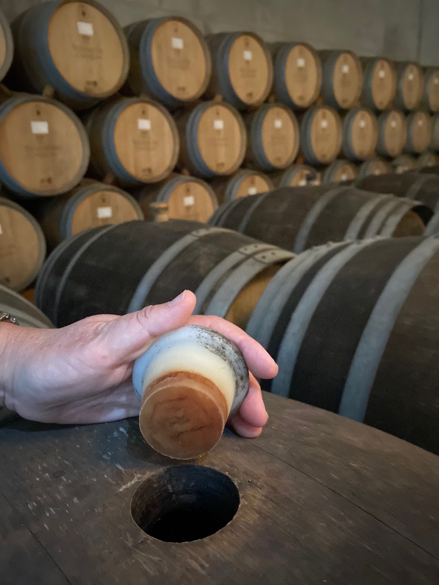 Cave com barricas de carvalho francês e uma mão a abrir uma delas para deixar deixar sair os aromas inebriantes dos vinhos do Tejo, Portugal